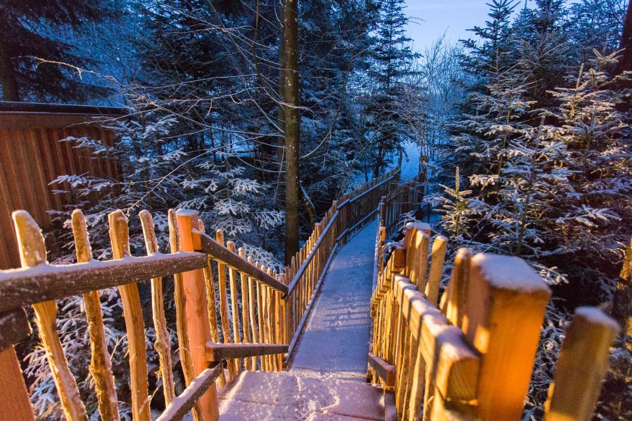 Domaine De L'Authentique Cabanes Dans Les Arbres Fournet-Blancheroche Buitenkant foto