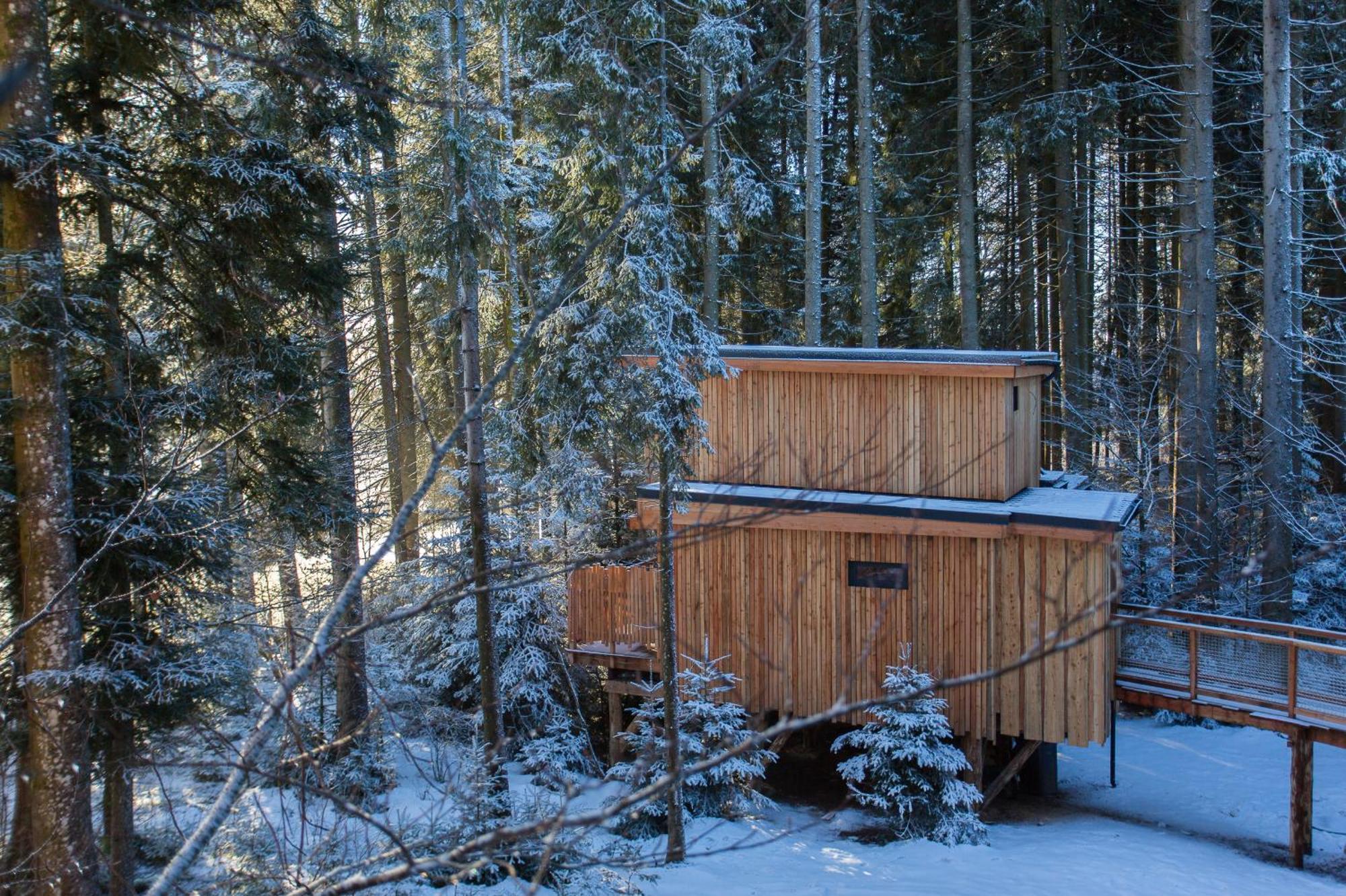 Domaine De L'Authentique Cabanes Dans Les Arbres Fournet-Blancheroche Kamer foto