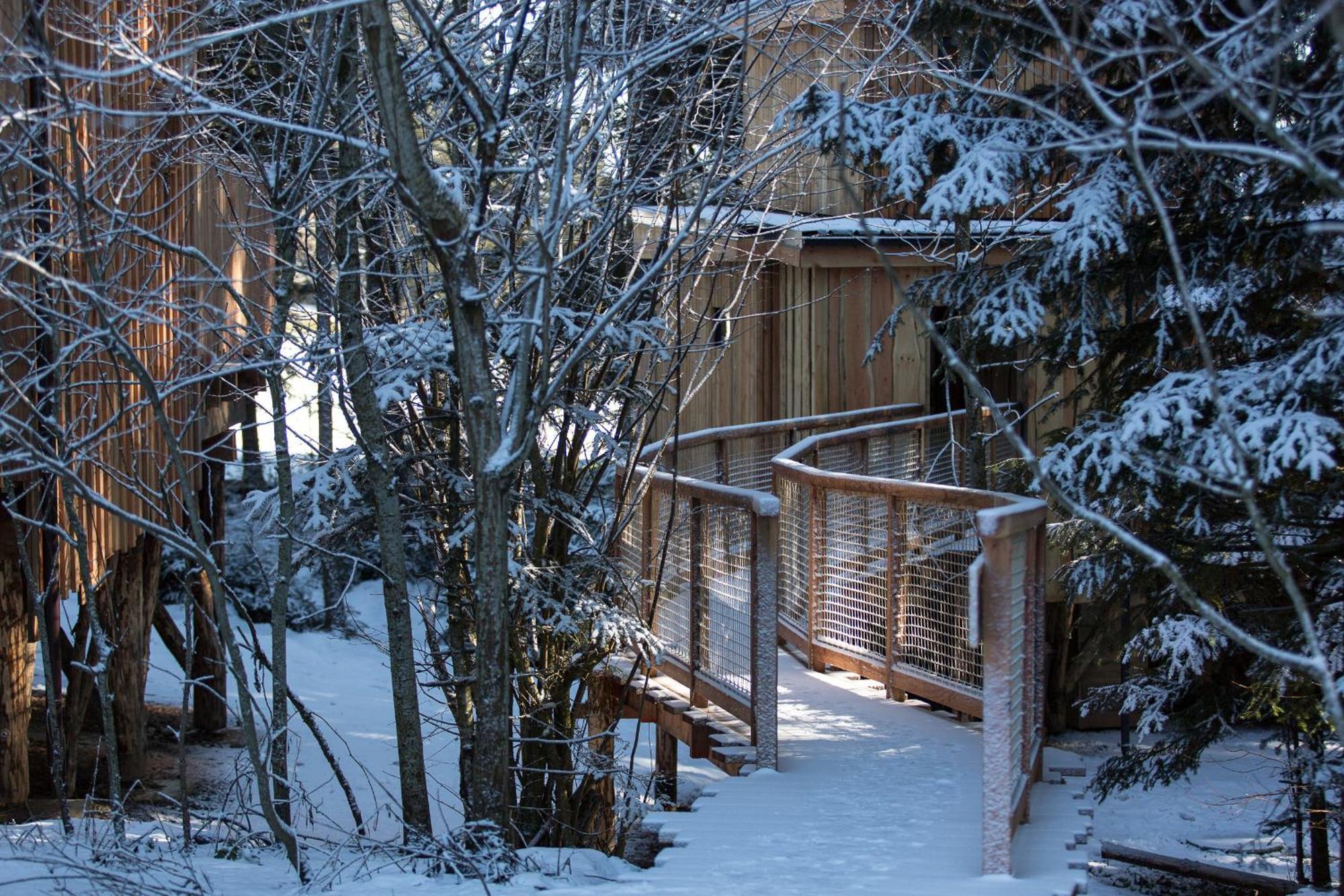 Domaine De L'Authentique Cabanes Dans Les Arbres Fournet-Blancheroche Kamer foto